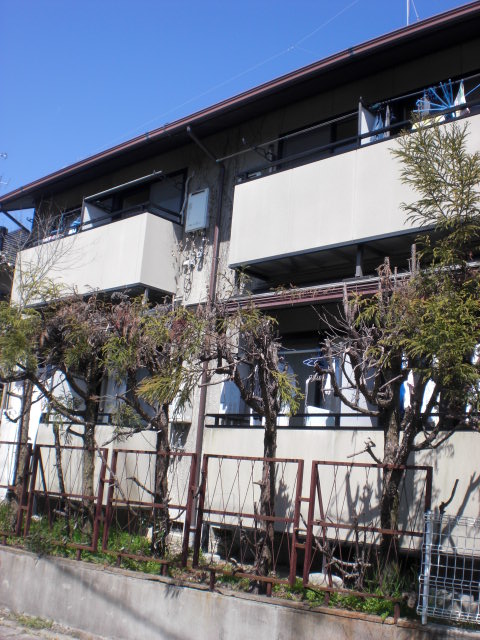 精華大の学生さま必見！