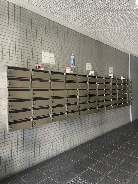 Du四条